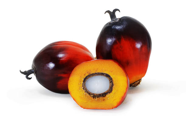 American palm oil